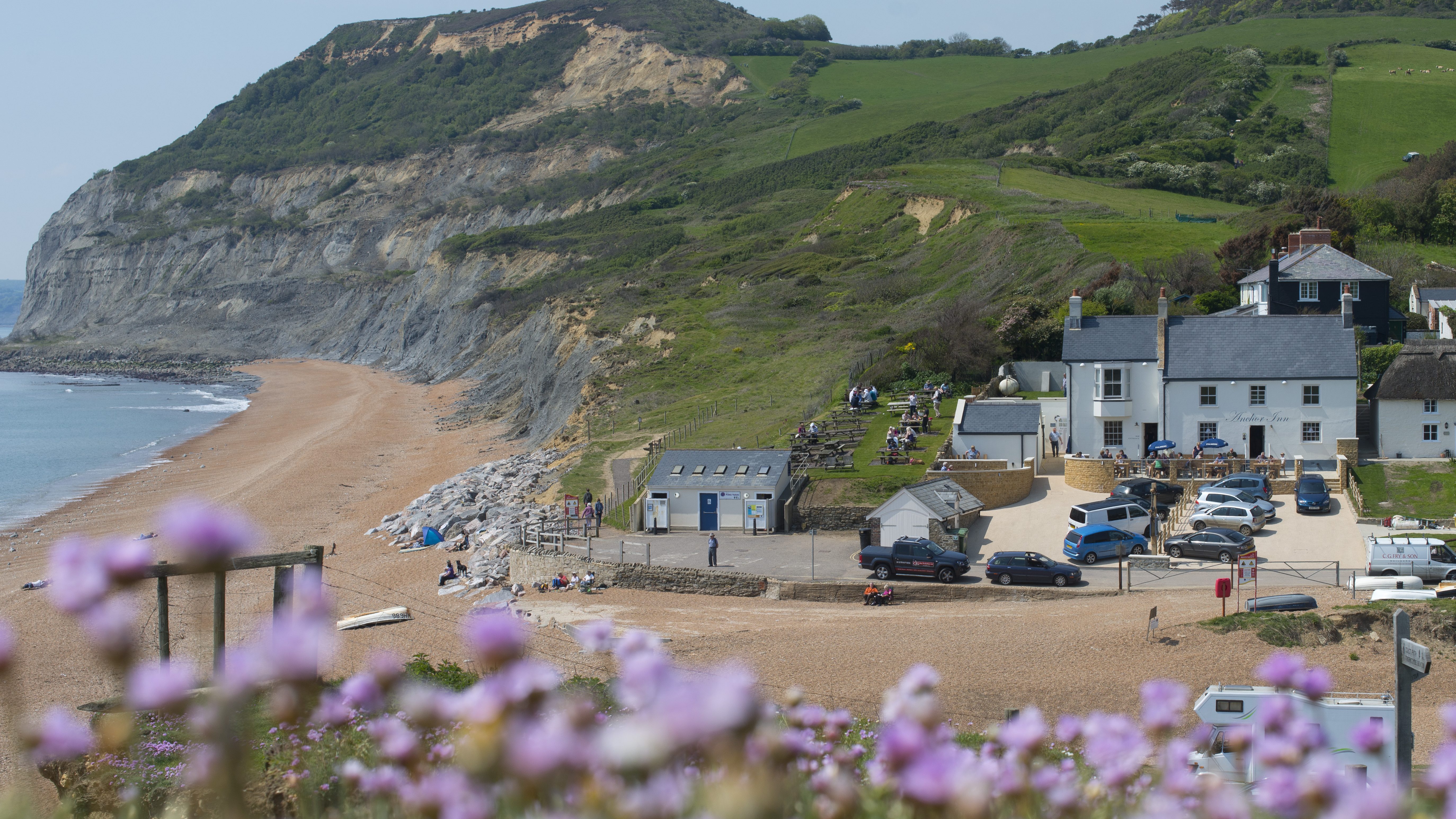 A scenic view of a sandy bay below steep green cliffs, with a small cluster of houses, parked cars, and blurred wildflowers in theforeground