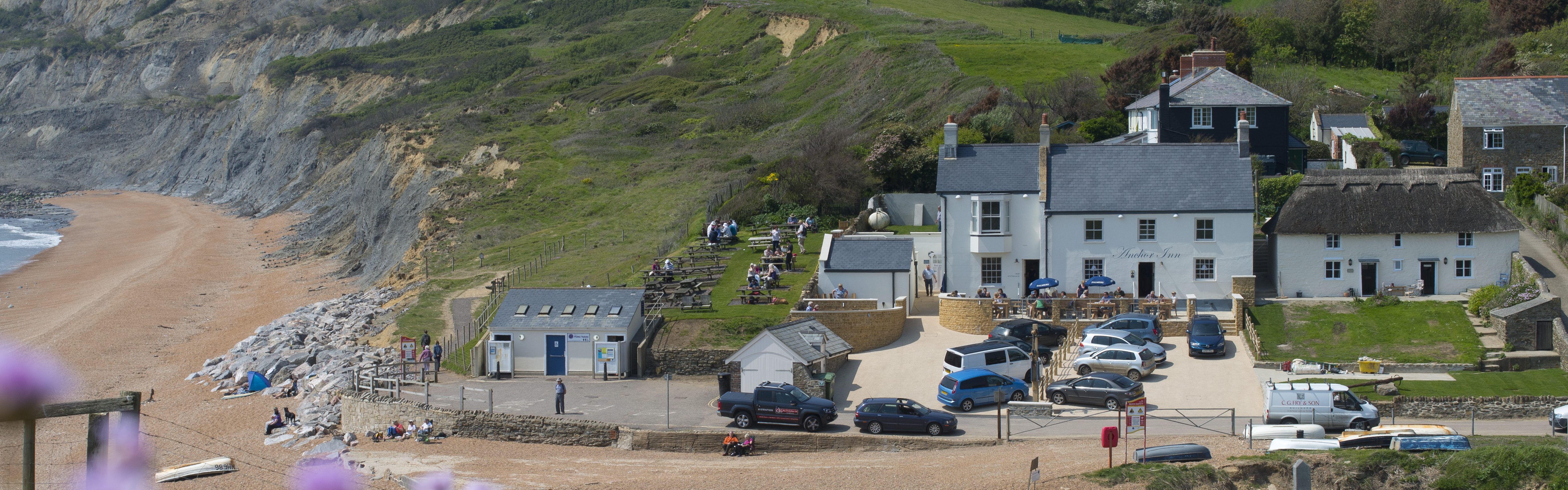 A sandy bay beside tall layered cliffs, with a small cluster of houses, parked cars, and a pub near the shore, seen through blurred wildf低l?