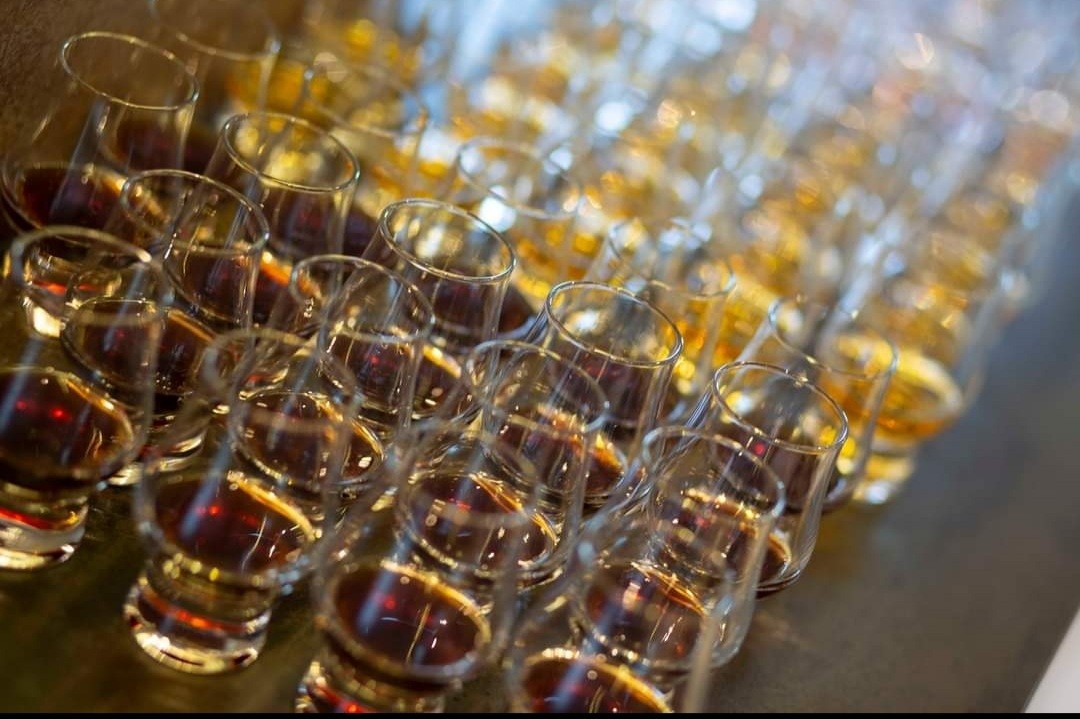 Rows of small clear tasting glasses filled with amber and golden liquid on a table