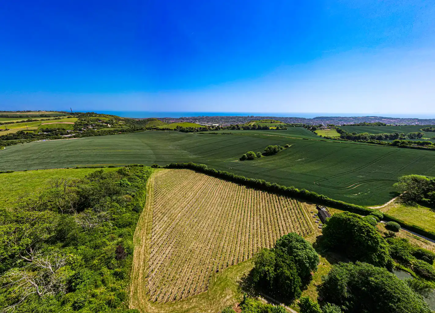 Aerial view of green fields with coastline in the background under a blue sky.