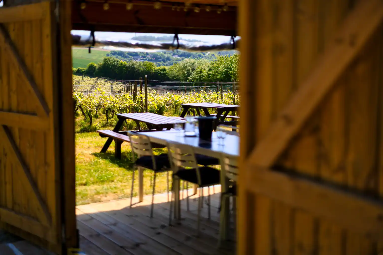 View of a vineyard through an open barn door with tables outside.